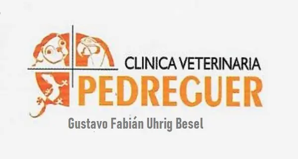 Clínica Veterinaria Pedreguer in Pedreguer an der Costa Blanca – tierärztliche Betreuung für Hunde und Katzen